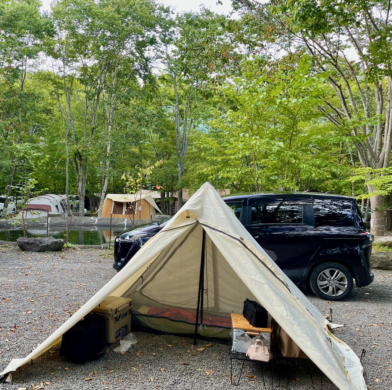 半額以下で買えるクーポン特集 テンマクデザイン パンダ VC+ 購入編｜ひじきCAMP テント・タープ